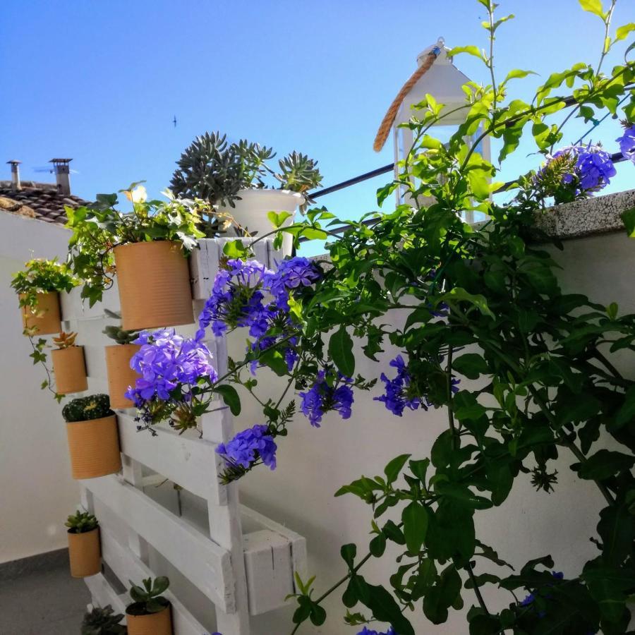 סיביטנובה אלטה B&B Porta Girone מראה חיצוני תמונה